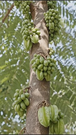 Amazing fruits 💕💕😘