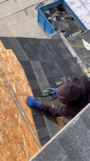 Shingles installation after tear off #roofing #roofreplacement #construction