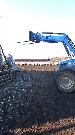 Stacking Hay Bales with a Blue Tractor on the Farm