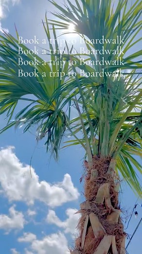 Yes, I’m talking to YOU 🫵🏼 Summer’s not over yet — there’s still time to plan that lakeside getaway! 🌞🌴 Limited spots left, so don’t wait… grab your group and let’s make some memories. 📅 Book now at BoardwalkVillage.com [link in bio] or message us — we’re here to help! | Boardwalk Village