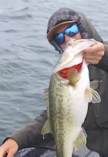 Catch Big Bass Today on Santee Cooper: Mateo Turano's Success