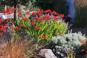 Community Horticulture