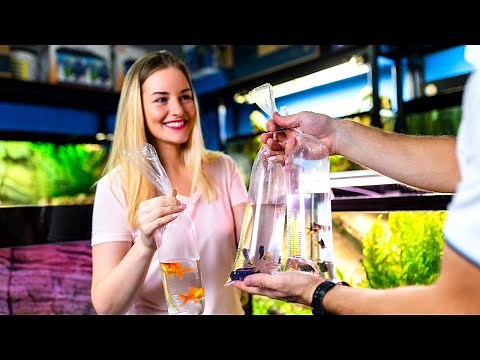 The Secret to Breeding Fish for Profit [Live Stream]​