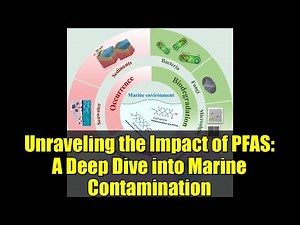Unraveling the Impact of PFAS: A Deep Dive into Marine Contamination