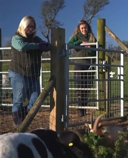 Our Appearance on ITV News: Celebrating Female Farmers