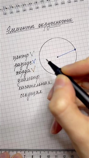 Circle Basics🔥 #mathforkids #7thgradealgebra #OGE2026 #schoolmath #math