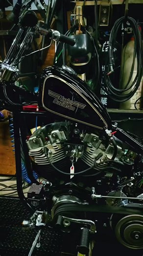 Custom Motorcycles: Embrace the Biker Life