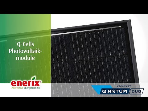 Q-Cells Photovoltaikmodule