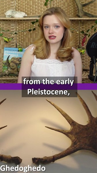 The Biggest Deer That Ever Lived