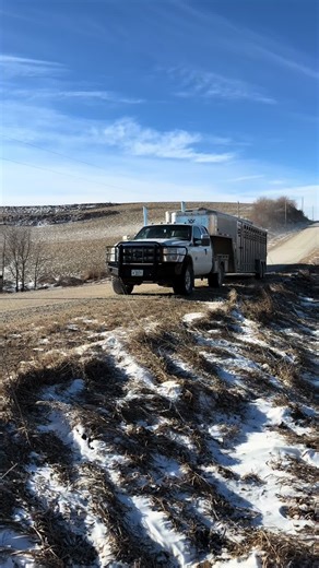 Moving Cows in Style