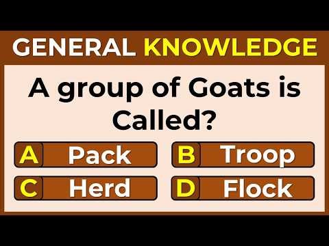 Only A Genius Can Score 16/35 on This General Knowledge Quiz! #44