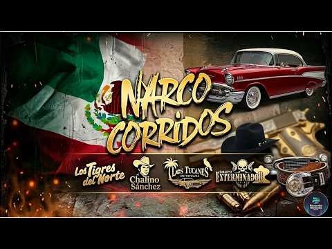 💥 NARCOCORRIDOS MIX🔥Los Tigres Del Norte, Chalino Sánchez, Los Tucanes ,Grupo Exterminador