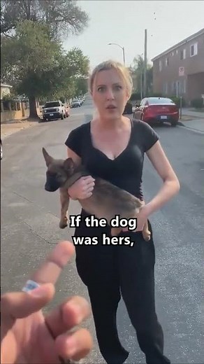 Man Saves Dog From Deranged Woman 🥲❤️ #shorts #save