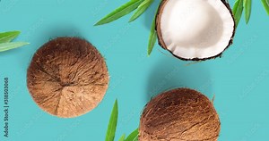 Motion animation with coconut. Coconut animation on the turquoise background. Top view 4k.