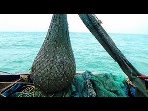 TRAWL NET FISHING