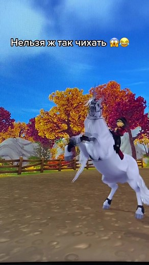 Когда чихает Фриз… хана всем😂#starstableonline #starstabletiktok #чихает #взрывмозга #ссо