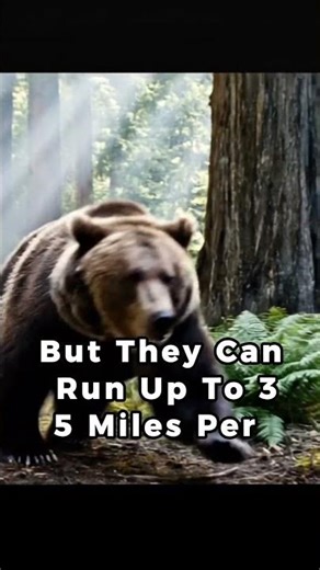 How Fast Can Bears Run? (35 MPH Will Shock You!) 🐻💨 #bear #forest #naturelovers