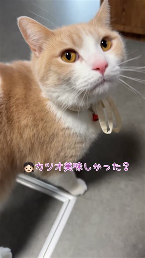 なると🍥 | 2025最後の動画🎥 なるとはお兄ちゃんになって最高の年だったみたいです✨ 今年もたくさん思い出つくろうね〜🧡 👦🏽の長い冬休みももうすぐ終わりです🥹 #2025#最後の会話#甘えん坊#最高の年#年越し | Instagram