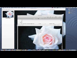 How to Reduce the Size of Pictures Included in an Email Message
