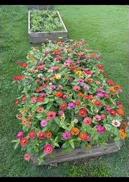 Gorgeous Garden Ideas to Make Your Home Fresh, Green & Beautiful