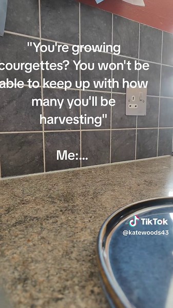 How to Grow and Harvest Courgettes Successfully