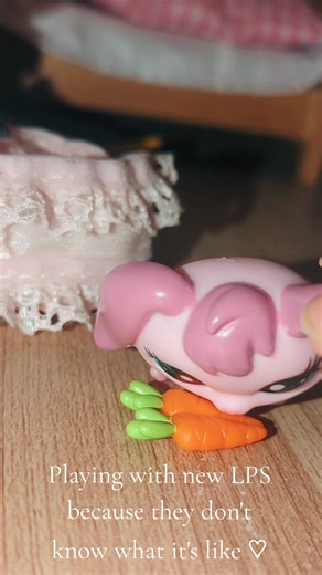 It's such a wholesome feeling <3 #lpscommunity #lpscollection #lpstok #lps #lpsgen7