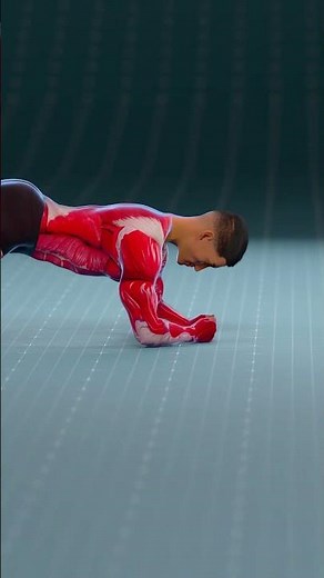 Perfect Plank Setup for Maximum Stability #abs