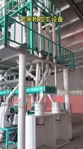 50tpd maize meal milling machine