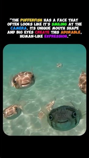 This Fish Looks Like It’s Smiling at You! 😄🐟