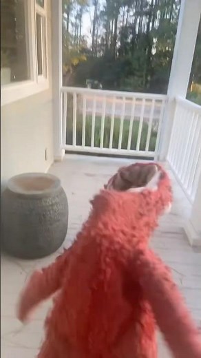 elmo world sounds kids