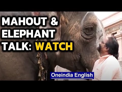 Man & elephant talk like buddies: Video goes viral | Oneindia News