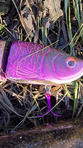 #alien_predator_lures #fishing #lure #lurefishing #predatorfishing #perch #pike #perchfishing #pikefishing #custom #lures #riverfishing #fishinglure #handmade #paint #wood #water #river #handcrafted #luremaking #lurebuilding #handmadelures #arowana | Bruce Dobbo | Facebook