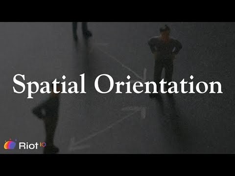 Spatial Orientation Subtest (Visuospatial Ability)