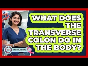 What Does The Transverse Colon Do In The Body?