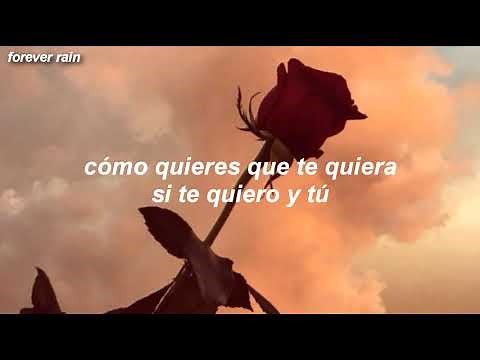 Cómo quieres - Violetta (Letra)