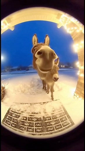 What did she see? 😆 | Jack Vale