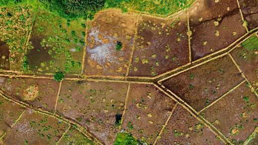 Can You Depreciate Land Improvements? Tax Rules Explained