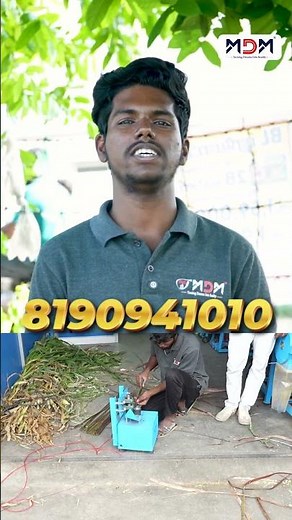 "சுலபமாகவும் வேகமாகவும் குச்சி பிரிக்கும் அதிசய மெஷின்!"- BROOMER மெஷின் #agribusiness #broomstick