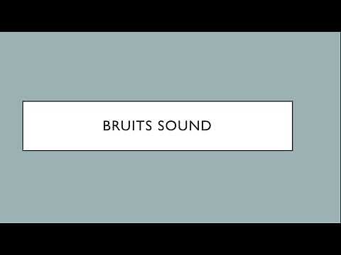 Bruits sound