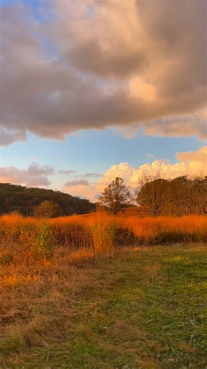 Sun dipped. Mood lifted. 🌅 Sunset tonight @valleyforgepark @valleyforgeparkalliance #sunset #valleyforgenationalpark #valleyforgepark #sunsetreels #reelexplorepage | Griffin Photography
