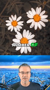 Do you know this secret rule? (The Rule of Odds). Get your FREE camera settings cheat sheets. Visit timsphotos.com | TimsPhotos