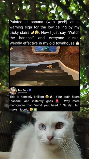 Banana Reminder for Low Ceiling Stairs, Very Helpful