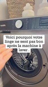 Petite astuce #clean #linge #tuto #machinealaver #action #reelsvideoシ#pourtoi | Naya Decoastuces