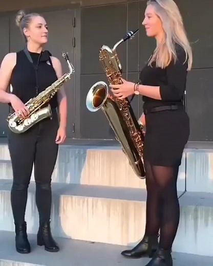 Saxofone Alto e Saxofone Barítono 🎷