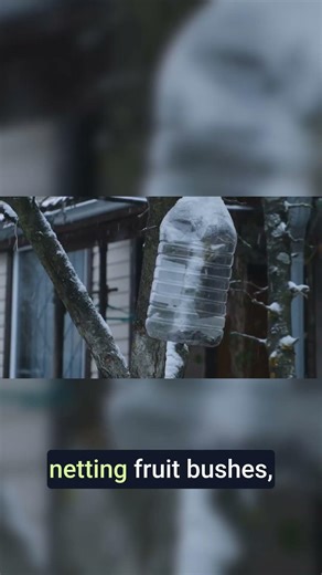 The Bird Repellent Method That Actually Works #gardening #gardeningtips #shorts