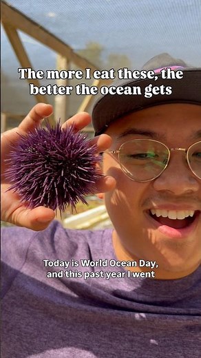 Sustainable Seafood That Heals the Ocean