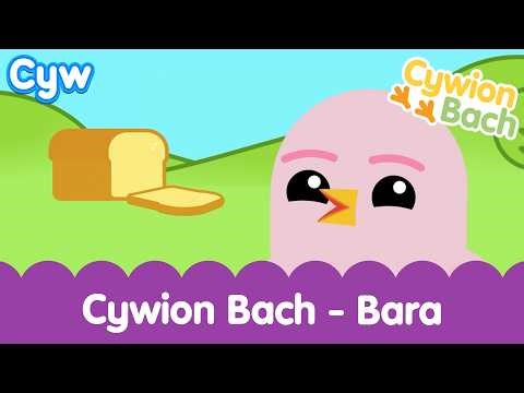 🍞 Cywion Bach - Bara! | Welsh First Words with the Little Chicks 🏴󠁧󠁢󠁷󠁬󠁳󠁿 Bread Toddler Time