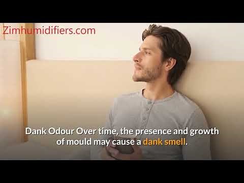 How to remove humidity from a room without a dehumidifier (A comprehensive answer)
