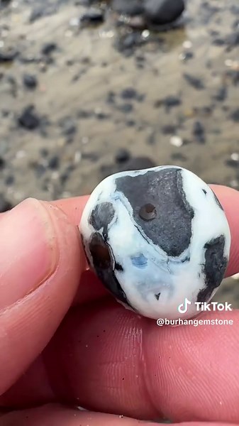 Allah Ki Shann: A Celebration of Culture