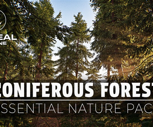 ArtStation - Coniferous Forest - Essential Nature Pack | UNREAL ENGINE | Game Assets